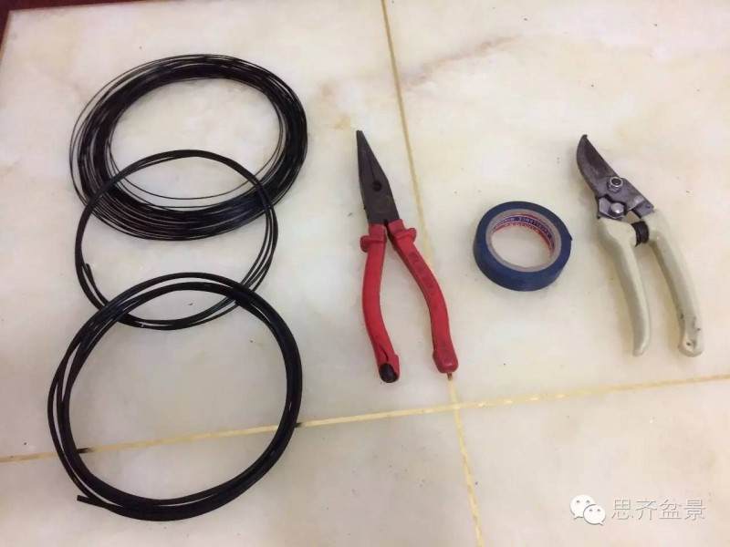 盆景制作 | 三杆金边