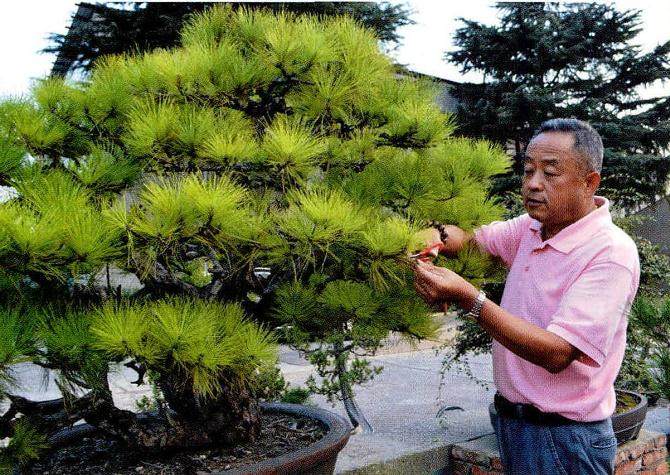 江苏常州 经济发达 把玩盆景之风甚浓 盆景名园