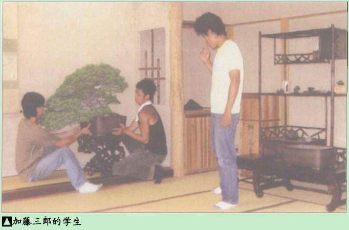 日本盆景文化的继承与盆景园的运作经营