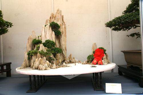 上海植物园盆景园娇客们搬家过冬