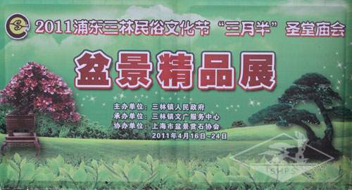 上海古猗园办杜鹃盆景展