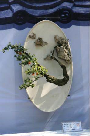 重庆2.5万盆辣椒盆景