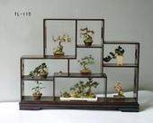 常州盆景状元 与盆友互动 有点恋也有点田