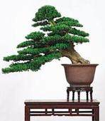 中新网常州新闻