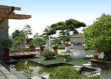 郑诚恭盆景舍利丝雕培训班(常州)招生