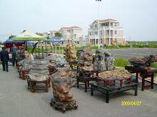 常州建设海峡两岸盆景大世界