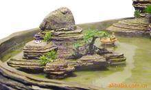 金华盆景走南闯北