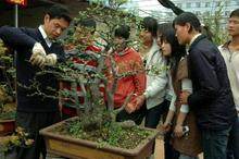 江西花卉盆景协会