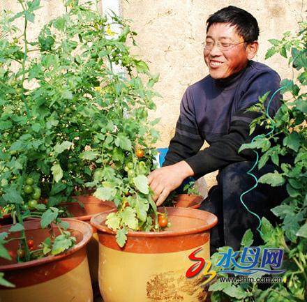 十堰农民靠盆景致富