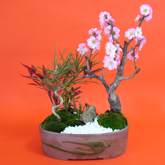 松竹梅盆景怎么培育的4个方法