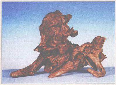 力与美的对话-根艺《狮吼》《独行客》赏析