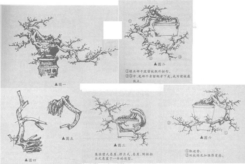 图解 捞月型悬崖桩怎么造型设计的方法