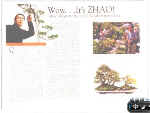 赵庆泉盆景