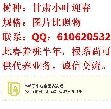 盆景艺术在线论坛已走向极端 要么衰落 要么垄断