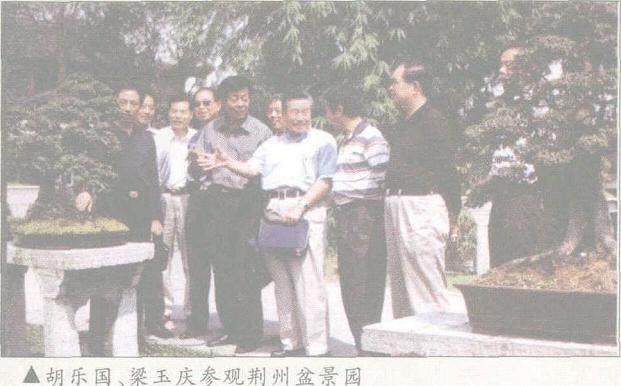 胡乐国梁玉庆考察湖北盆景