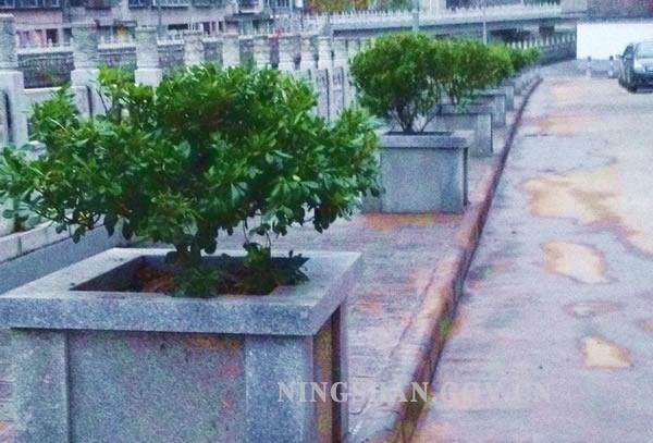 宁陕县新添箱装盆景让县城更加靓丽