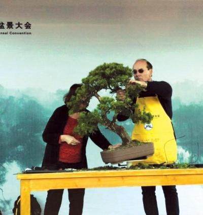 游客在宋夹城观赏精品盆景