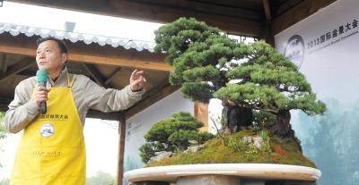 来自扬州的国际盆景大师赵庆泉现身宋夹城