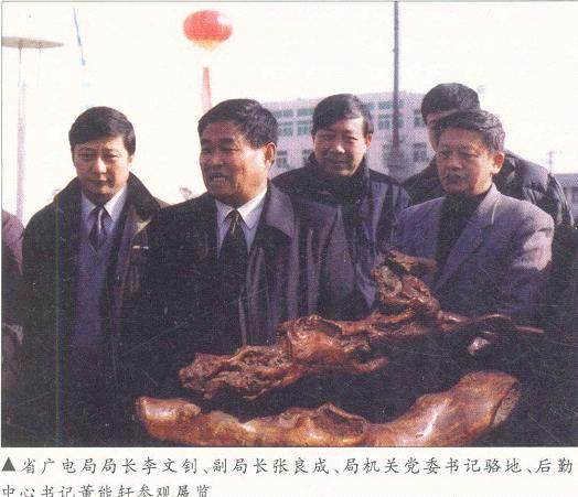 湖北省广电系统举办根雕盆景赏石展览活动