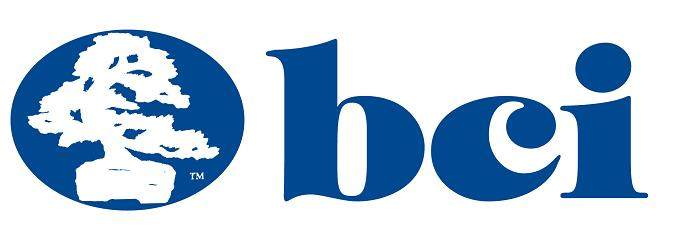 BCI-logo_file 6
