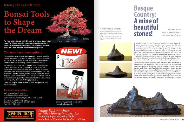 盆景国际俱乐部