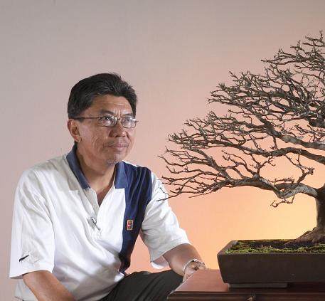 印度尼西亚盆景艺术家