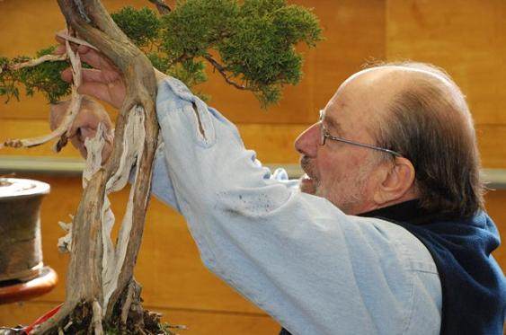 美国盆景艺术家