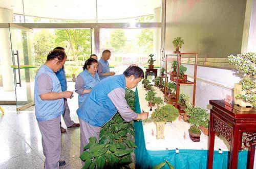 上海烟草物流运输部举办了一场特别的微盆景展览