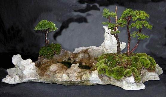 英国盆景艺术家