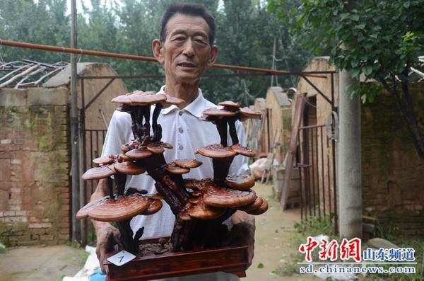 民间艺人崔文彦20年研究传承灵芝盆景手艺