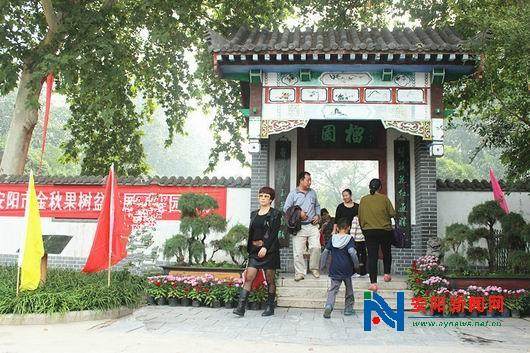 第二届安阳市金秋果树盆景展 图片