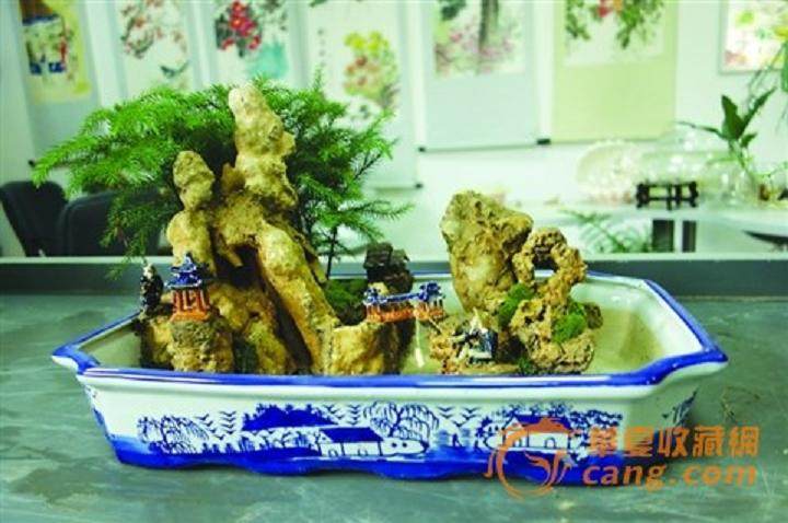 搁浅在手作时光里的盆景