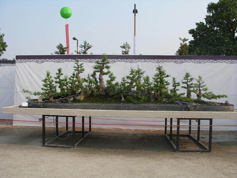 东莞举行的第十届粤港澳台盆景艺术博览会