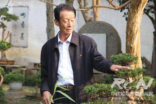如皋籍国际花木盆景大师 花汉民