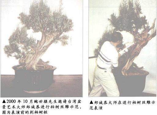 图解 郑诚恭对一成型盆景作品的改作
