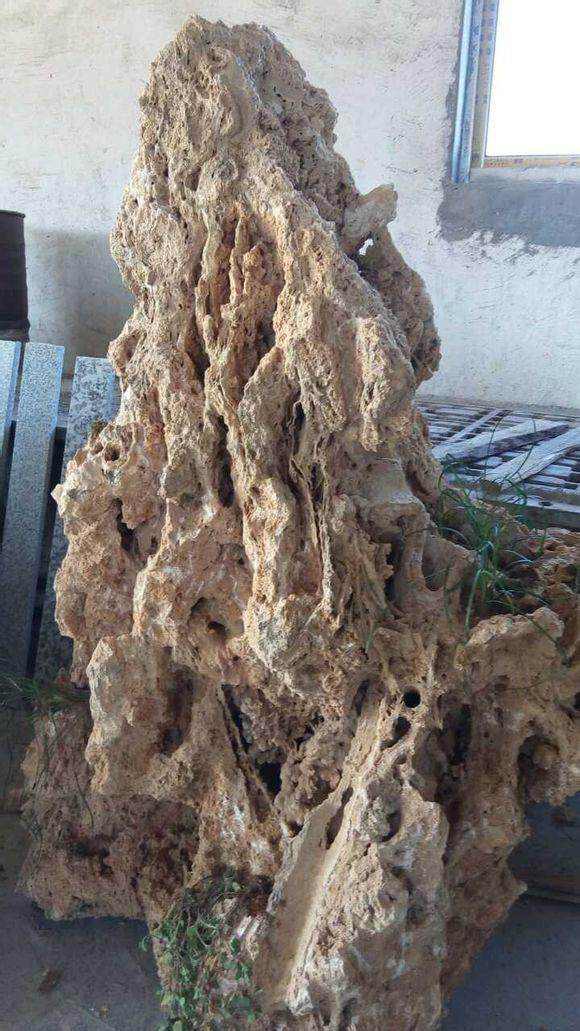 安徽池州龙祥盆景专营吸水石盆景批发~假山制作