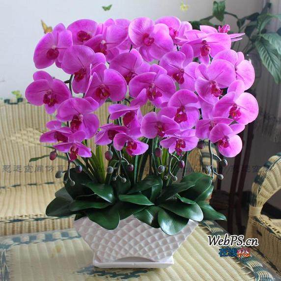 仿真花盆景是造型艺术的结晶