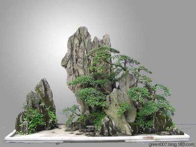 假山盆景制作方法