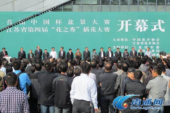 “中国杯”盆景