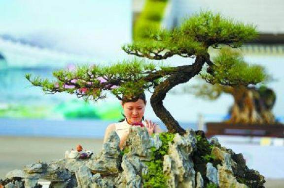 第十届粤港澳台盆景艺术博览会在东莞开幕