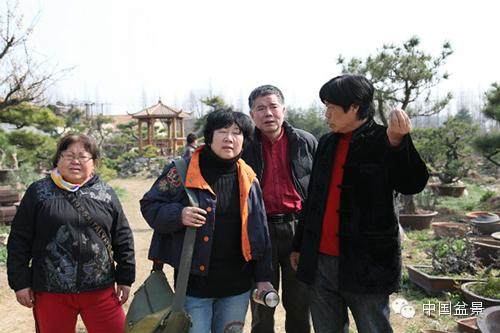 王恒亮和他的新徽派盆景