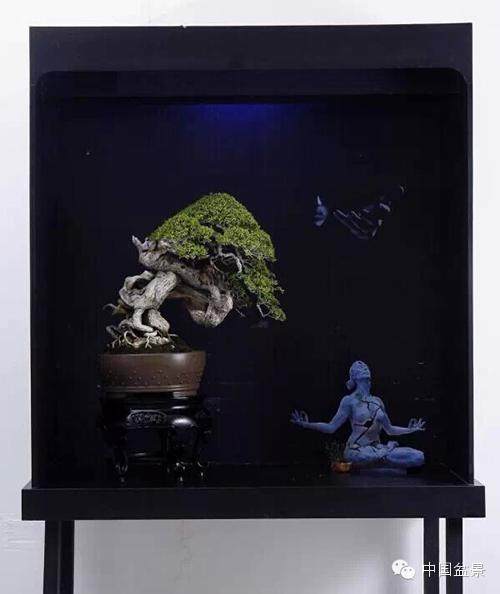 印尼国际盆景艺术与文化双年展作品欣赏