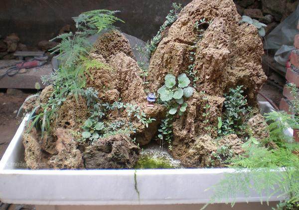 假山盆景怎么制作的5个方法