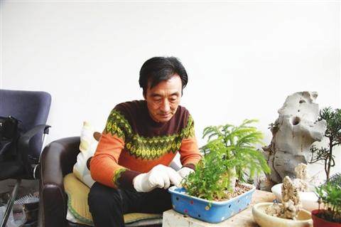 江苏达人用盆景作传递爱心的使者