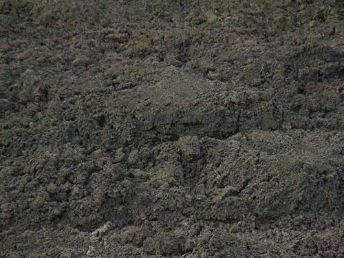 怎么配制观果盆景土壤的方法