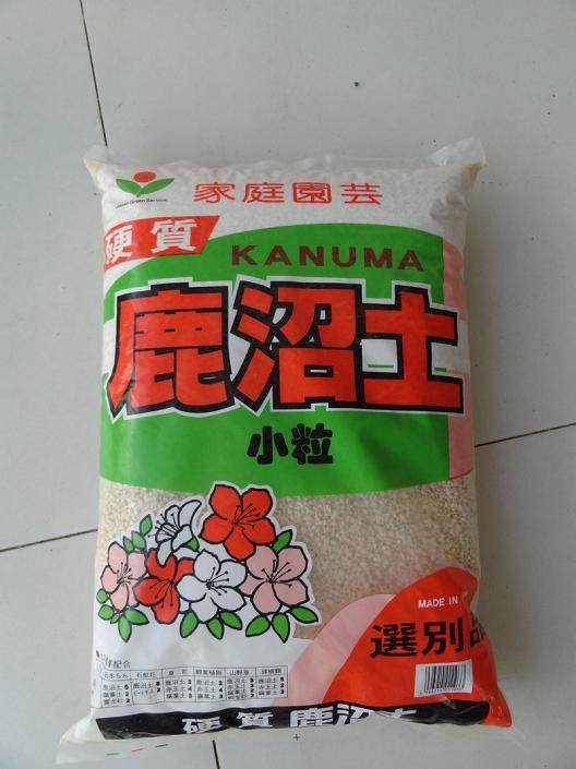 盆景树的土壤很湿润 为什么还会掉叶子