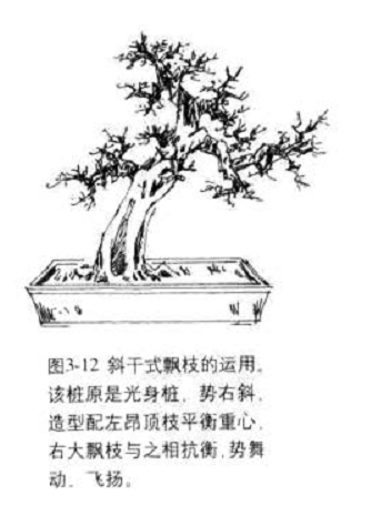 飘枝在桩景盆景造型中的合理运用