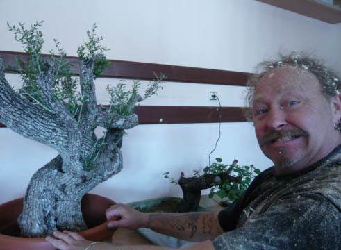 图解 老外人工舍利干盆景制作全记录