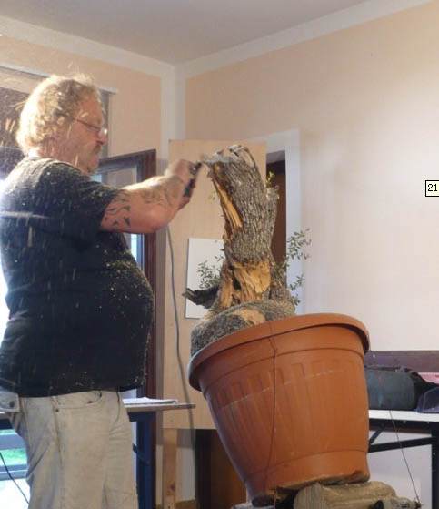 图解 老外人工舍利干盆景制作全记录