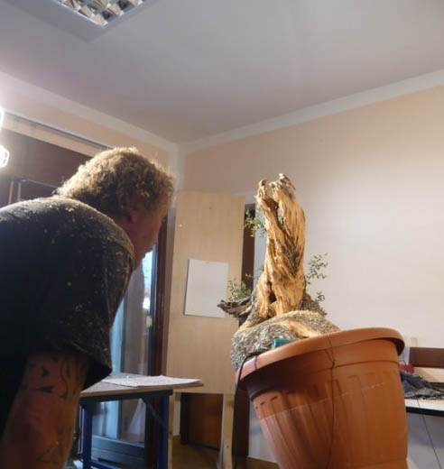 图解 老外人工舍利干盆景制作全记录